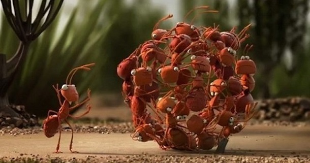 Intelligence-collective