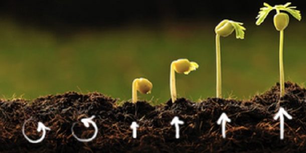 evoluer_avec_coaching