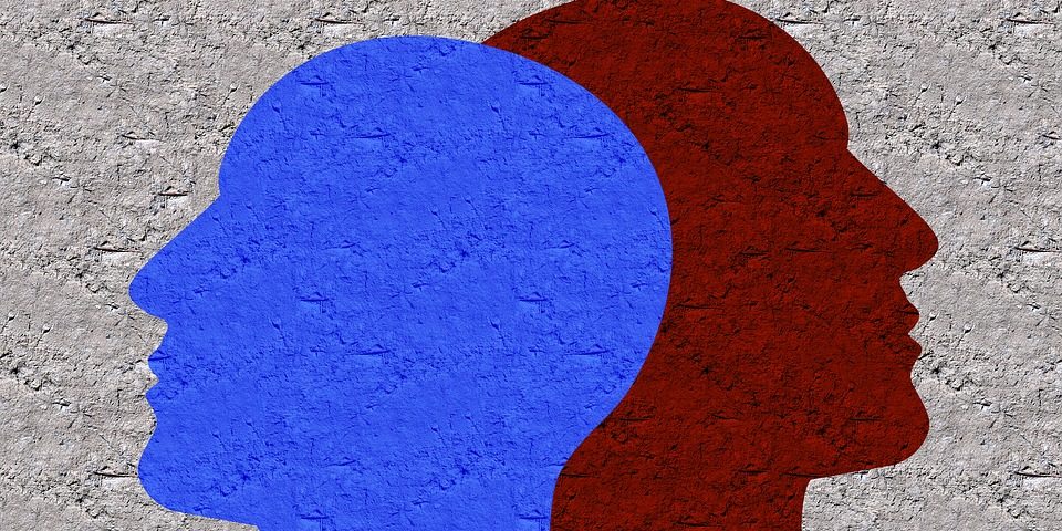 face-1370955_960_720